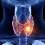 Mecanismos de Acción de Hormonas Tiroideas